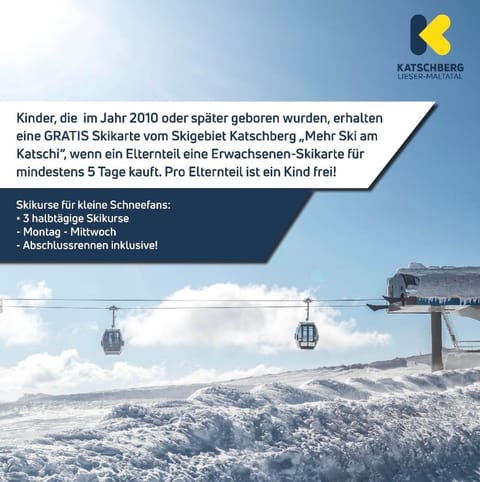 Ferienwohnung Biohof Laußnitzer in Rennweg Farm Stay in Carinthia, Austria