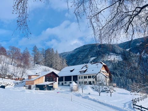 Ferienwohnung Biohof Laußnitzer in Rennweg Farm Stay in Carinthia, Austria