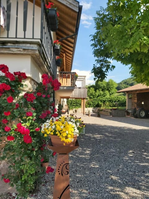 Versigglhof Farm Stay in Trentino-South Tyrol