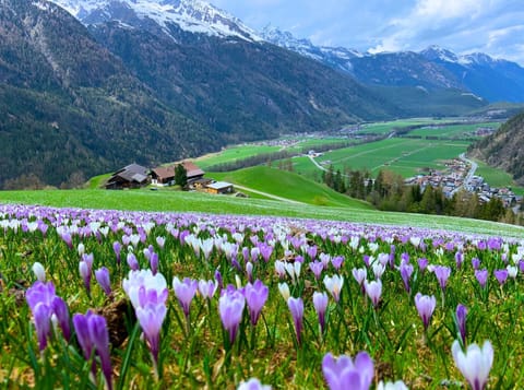 Spring, Summer, Hiking, Cycling