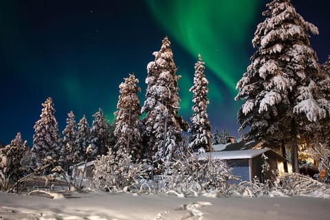 Garden, Balcony/Terrace, Garden view