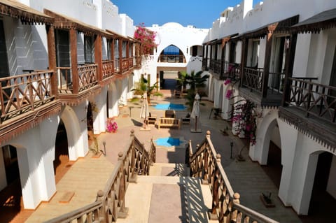 Patio, Garden, Balcony/Terrace