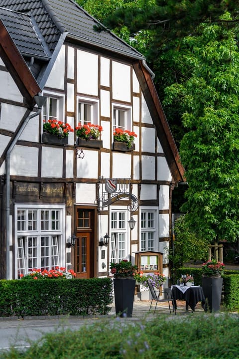 Property building, Day, Garden, Garden view
