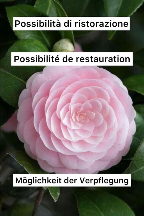 Garni Giacometti Bed and Breakfast in Locarno