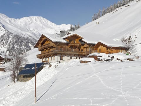 Winter, Area and facilities