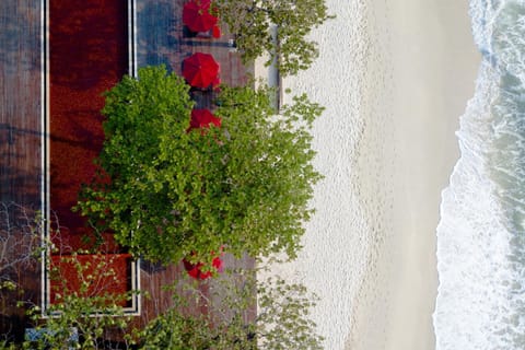 Bird's eye view, Beach, Swimming pool, Swimming pool