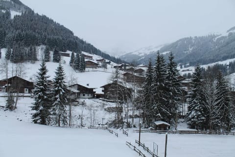 Winter, Mountain view