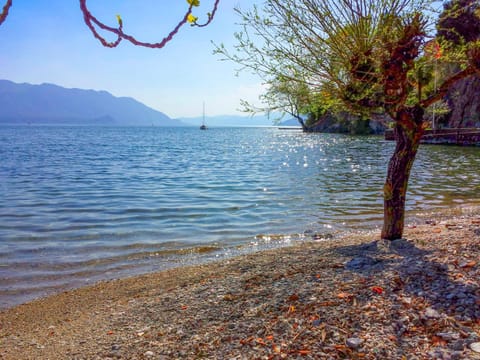 Beach, Lake view, Mountain view