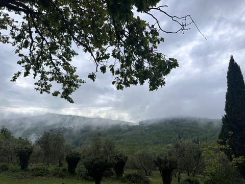 Nearby landmark, Natural landscape