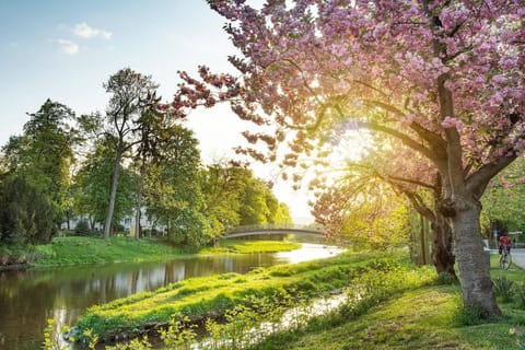 Nearby landmark, Day, Natural landscape, Garden, Garden view, Lake view, River view