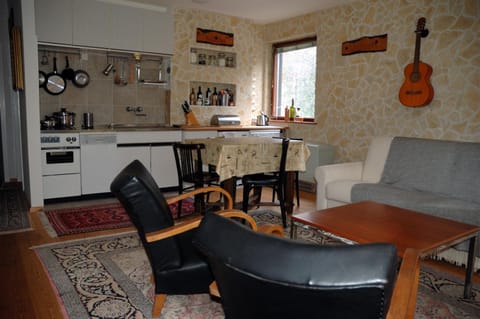 Kitchen or kitchenette, Living room, Seating area, Dining area