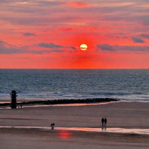 Studio zwembad met frontaal zeezicht Apartment in Ostend