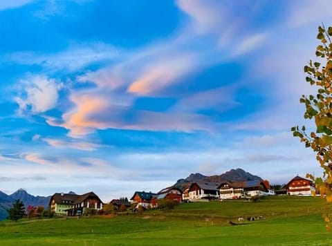 Natural landscape