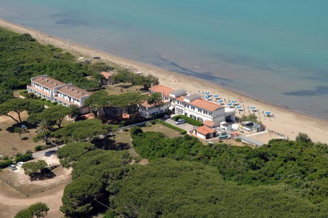 Day, Bird's eye view