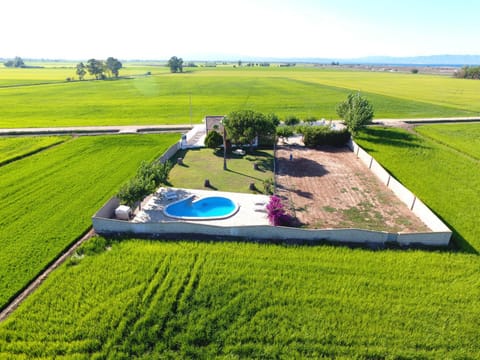 Pool view, Area and facilities