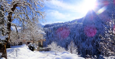 Property building, Natural landscape, Winter, Hiking, Mountain view