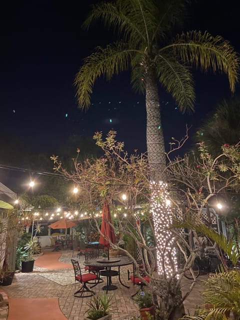 Night, Garden, Garden view