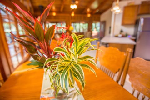 Hale Mauna Loa Upper Level with shared Hot Tub House in Volcano