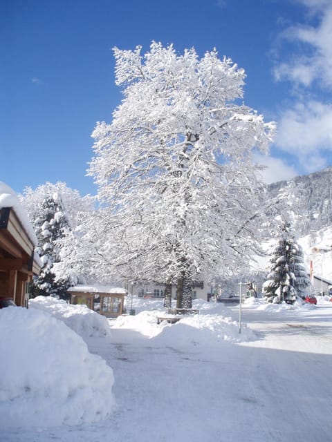 Winter, View (from property/room)