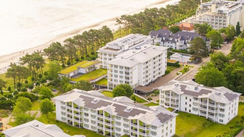 Bird's eye view, Location