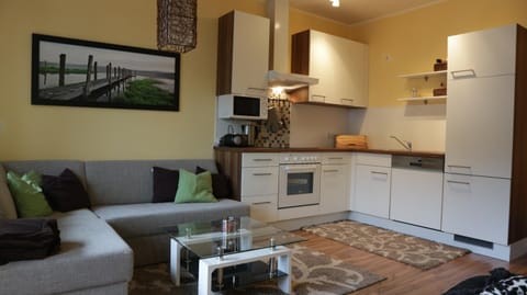 Kitchen or kitchenette, Living room, Seating area, dishwasher, stove