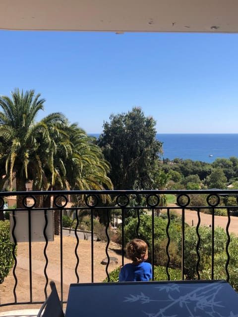 cap esterel vue mer et CLIMATISÉ Apartment in Saint-Raphael