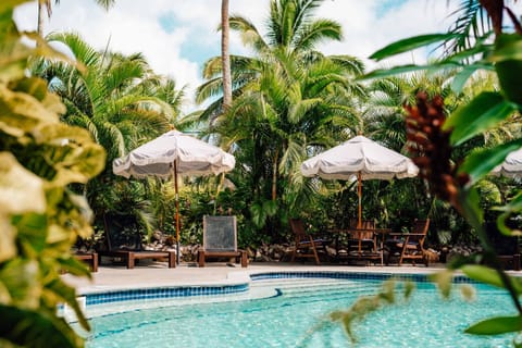 Swimming pool, Swimming pool