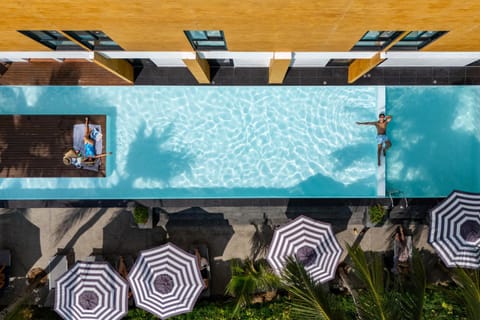 Activities, Swimming pool, sunbed