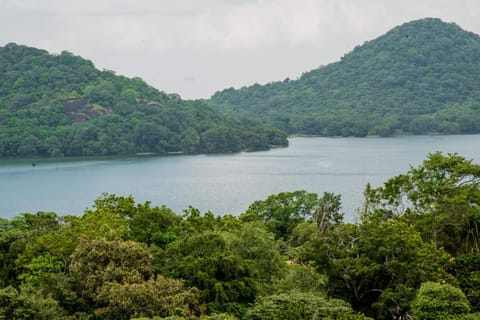 View (from property/room), Lake view