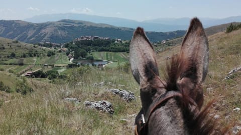 Natural landscape, Hiking, Animals, Entertainment