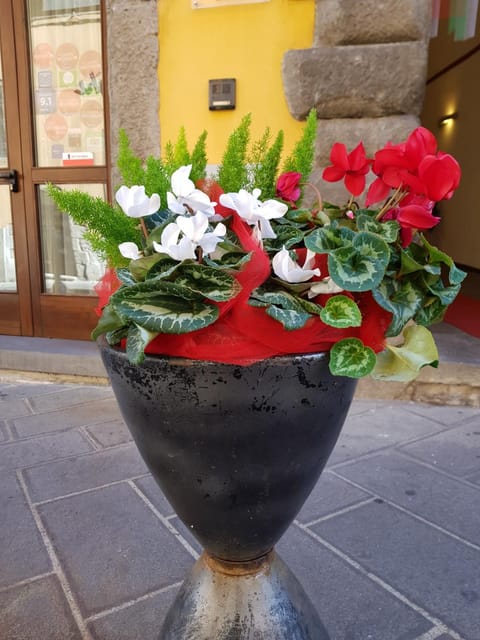 Hotel Urbano V Hotel in Montefiascone