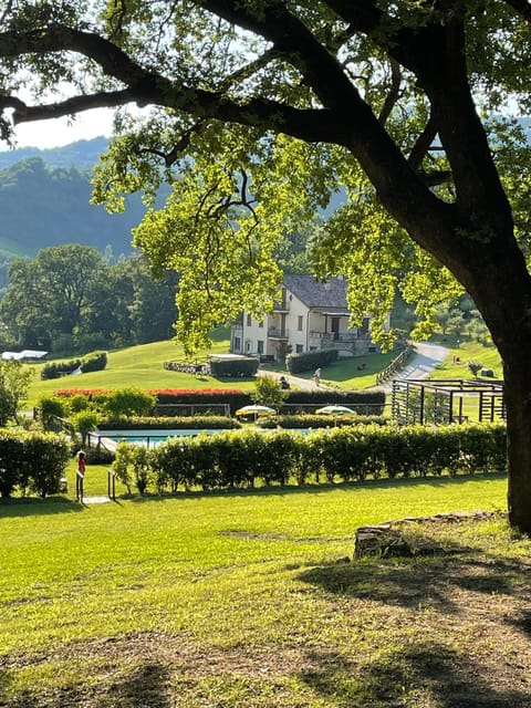 Garden, Swimming pool