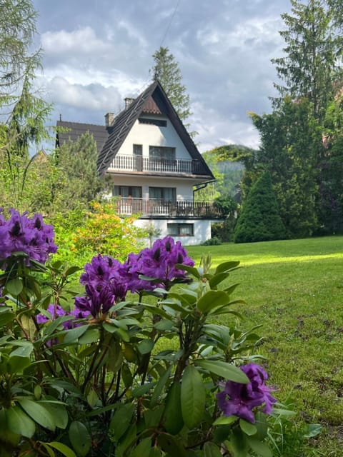 Garden, Garden view, Garden view