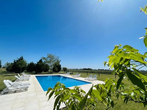 Day, Natural landscape, Garden, Solarium, Garden view, Pool view, Swimming pool, Swimming pool