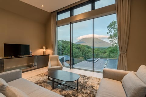 Living room, Mountain view