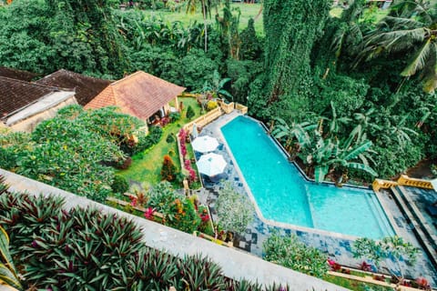 Spring, Day, Natural landscape, Garden, Garden, Garden view, Pool view, Swimming pool, sunbed