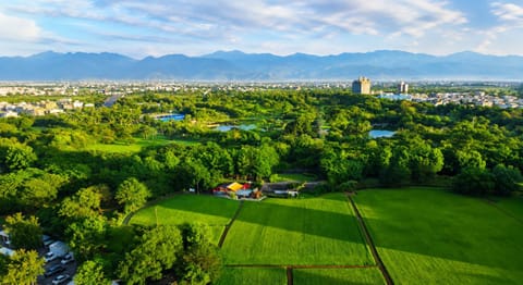 City view