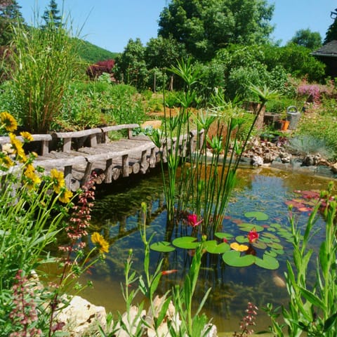Day, Natural landscape, Summer, Garden view, River view