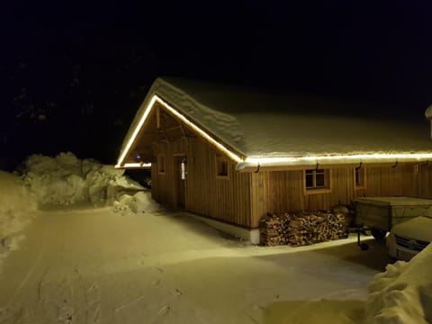 Facade/entrance, Night, Winter, On site