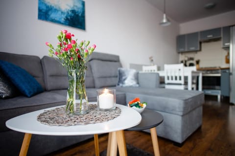 Apartament Europejski Apartment in West Pomeranian Voivodeship, Poland