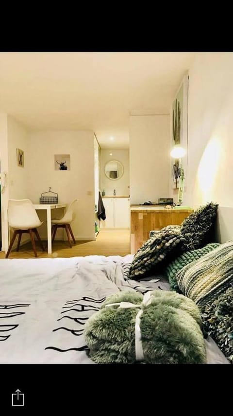 Your suite Ghent Apartment in Ghent