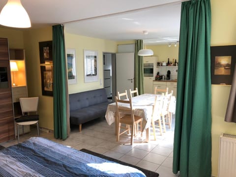 Living room, Photo of the whole room, Seating area, Dining area