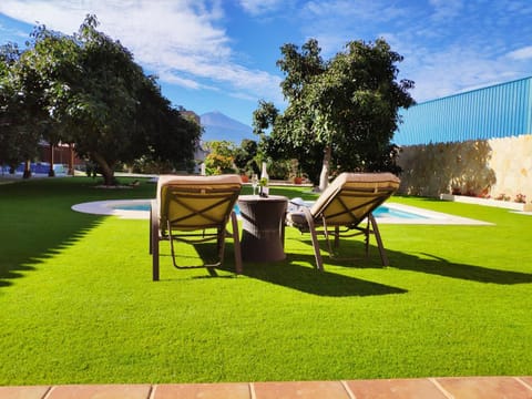 Garden, Swimming pool