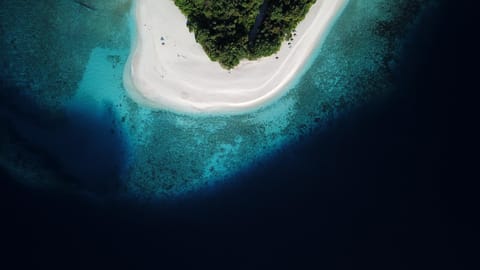 Day, Beach, Beach, On site