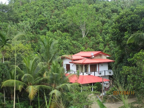 Natural landscape
