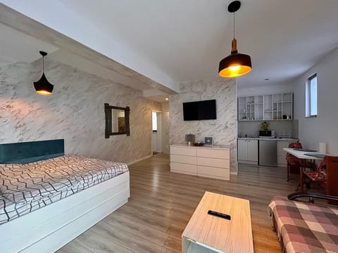 Bed, Kitchen or kitchenette, Living room, Photo of the whole room, Seating area, Bedroom, oven