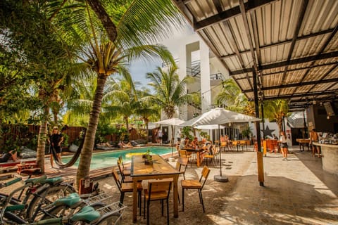 Patio, Day, Lounge or bar, Swimming pool