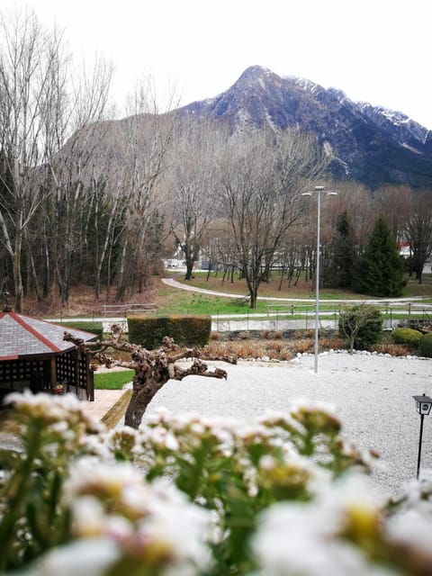 Hotel Willy Hotel in Friuli-Venezia Giulia