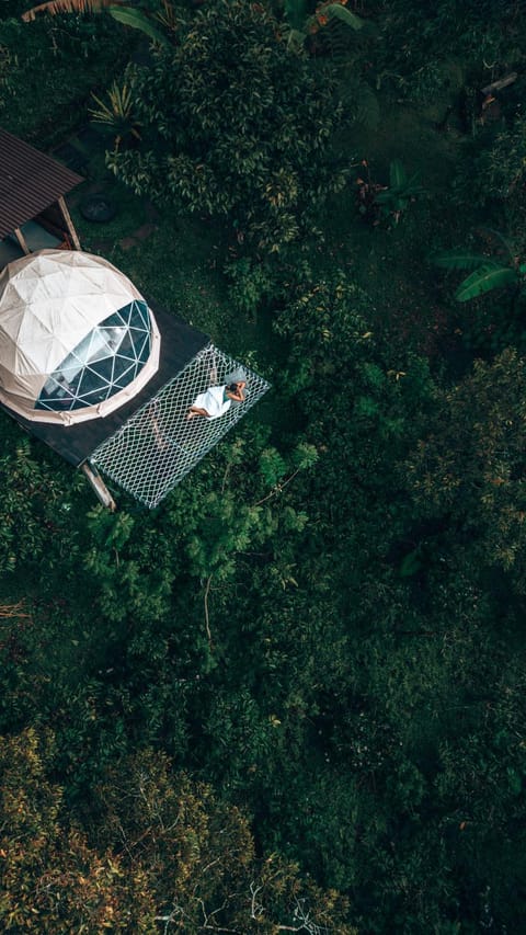 Day, Natural landscape, Bird's eye view