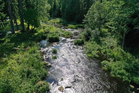 Fishing, River view